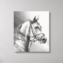 ARABIAN BEAUTY Canvas 15 x 17,2 inch