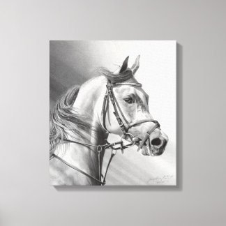 ARABIAN BEAUTY Canvas 15 x 17,2 inch