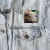 Arabian Camel Button (In situ)