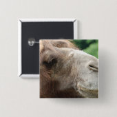 Arabian Camel Button (Voorkant /achterkant)