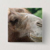 Arabian Camel Button (Voorkant)