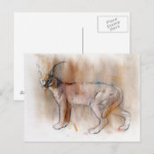 Arabian Caracal 2009 Briefkaart (Voorkant / Achterkant)