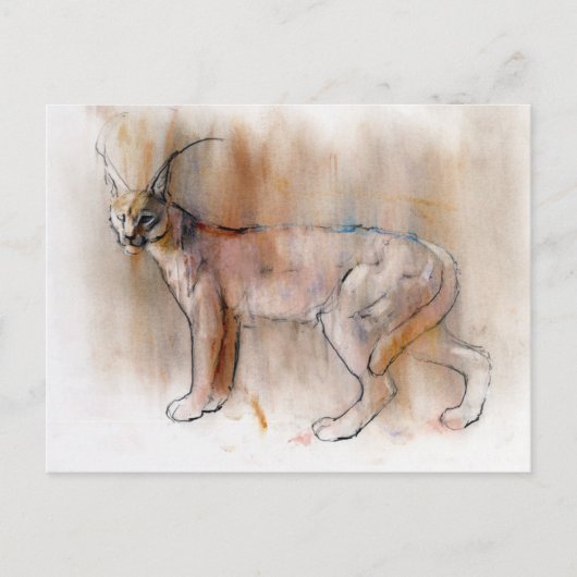Arabian Caracal 2009 Briefkaart (Voorkant)