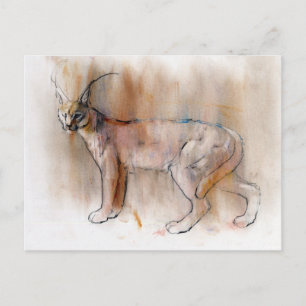 Arabian Caracal 2009 Briefkaart