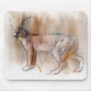 Arabian Caracal 2009 Muismat