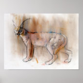 Arabian Caracal 2009 Poster (Voorkant)