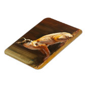 Arabian Caracal Magneet (Linkerzijde)