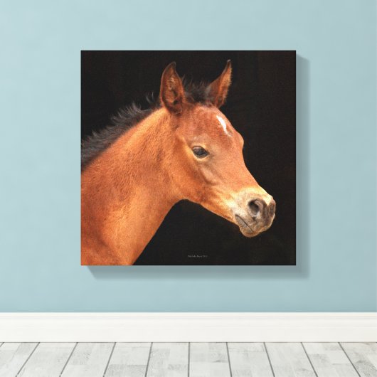 Arabian Filly Canvas Afdruk (Insitu (Houten vloer))