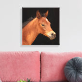 Arabian Filly Canvas Afdruk (Insitu (Woonkamer))
