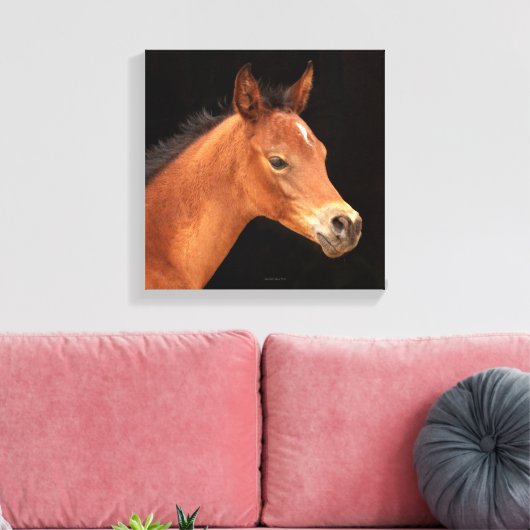 Arabian Filly Canvas Afdruk (Insitu (Woonkamer))
