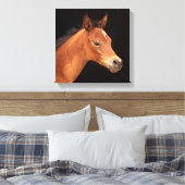 Arabian Filly Canvas Afdruk (Insitu (Slaapkamer))