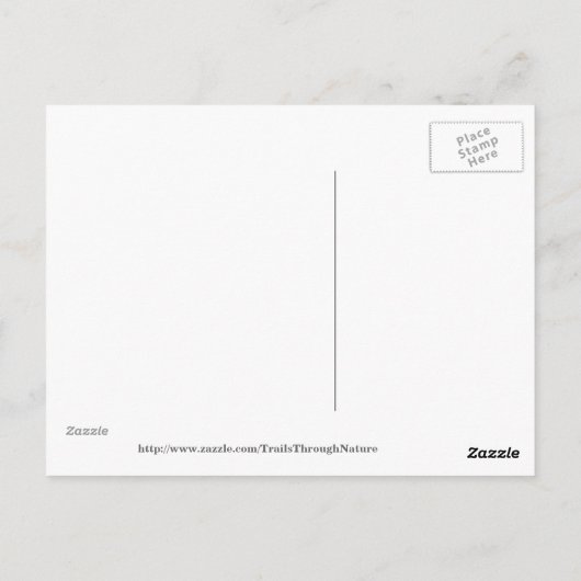 Arabian Foal Sunset Briefkaart (Achterkant)