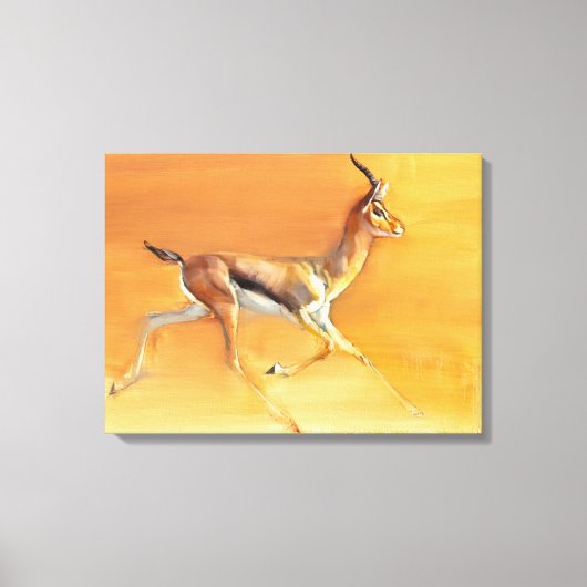 Arabian Gazelle 2010 Canvas Afdruk (Voorkant)