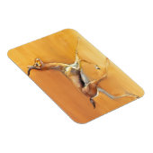 Arabian Gazelle 2010 Magneet (Rechterzijde)