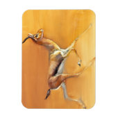 Arabian Gazelle 2010 Magneet (Verticaal)