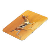 Arabian Gazelle 2010 Magneet (Linkerzijde)