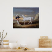 Arabian Horse  Art Print Poster (Keuken)