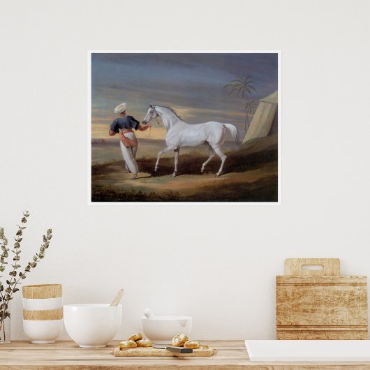 Arabian Horse  Art Print Poster (Keuken)