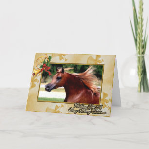Arabian Horse Blank Christmas Kaart
