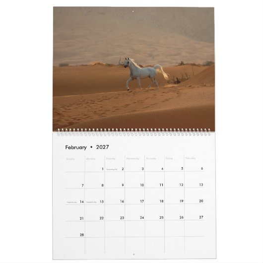 Arabian Horse Calendar 2019 Kalender (Feb 2027)