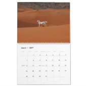 Arabian Horse Calendar 2019 Kalender (Mar 2027)