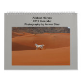 Arabian Horse Calendar 2019 Kalender (Hoes)