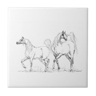 Arabian Horse Ceramic Tile - Arabian Horses Tegeltje