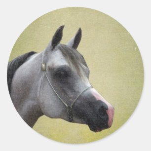 Arabian Horse Grunge Ronde Sticker