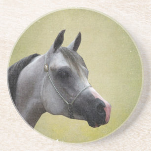 Arabian Horse Grunge Zandsteen Onderzetter
