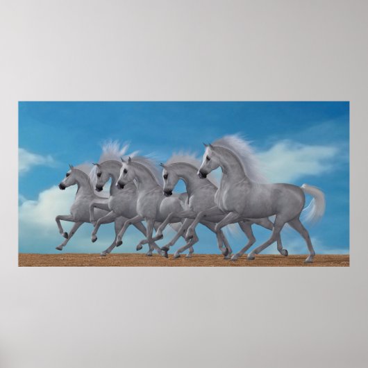 Arabian Horse Herd Poster (Voorkant)
