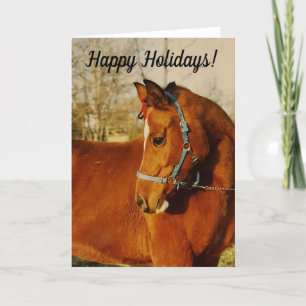 Arabian Horse Holiday Card Feestdagen Kaart