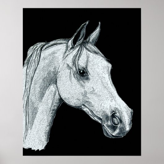 Arabian Horse Ink Sketch Poster (Voorkant)