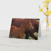 Arabian Horse Near Kaart (Gele Bloem)