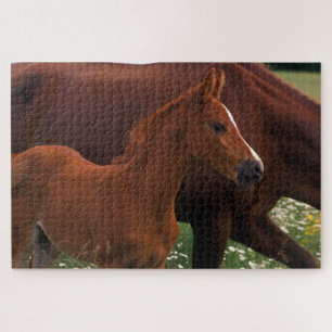 Arabian Horse Near Legpuzzel