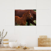 Arabian Horse Near Poster (Keuken)