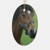 Arabian Horse Ornament (Links)