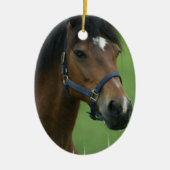 Arabian Horse Ornament (Voorkant)