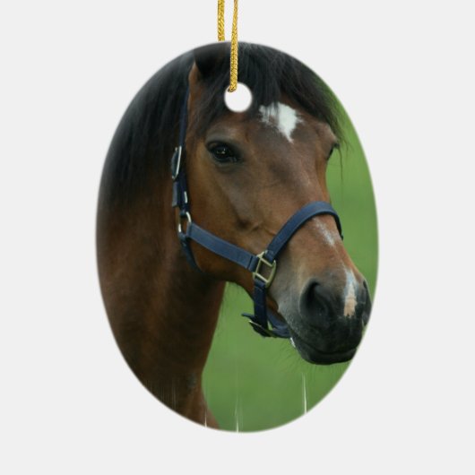 Arabian Horse Ornament (Achterkant)