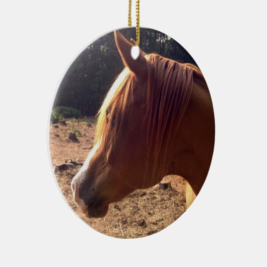 Arabian Horse Ornament (Rechts)