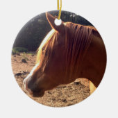 Arabian Horse Ornament (Voorkant)