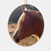 Arabian Horse Ornament (Links)