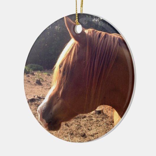 Arabian Horse Ornament (Links)