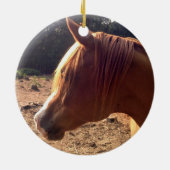 Arabian Horse Ornament (Achterkant)