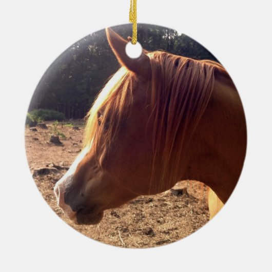 Arabian Horse Ornament (Achterkant)