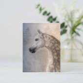 Arabian Horse Postcard Briefkaart (Staand voorkant)