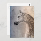 Arabian Horse Postcard Briefkaart (Voorkant / Achterkant)