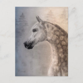 Arabian Horse Postcard Briefkaart
