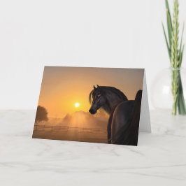 Arabian Horse Sunrise Kaart