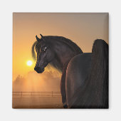 Arabian Horse Sunrise Magneet (Voorkant)