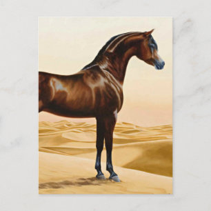 Arabian Horse - William Barraud Briefkaart